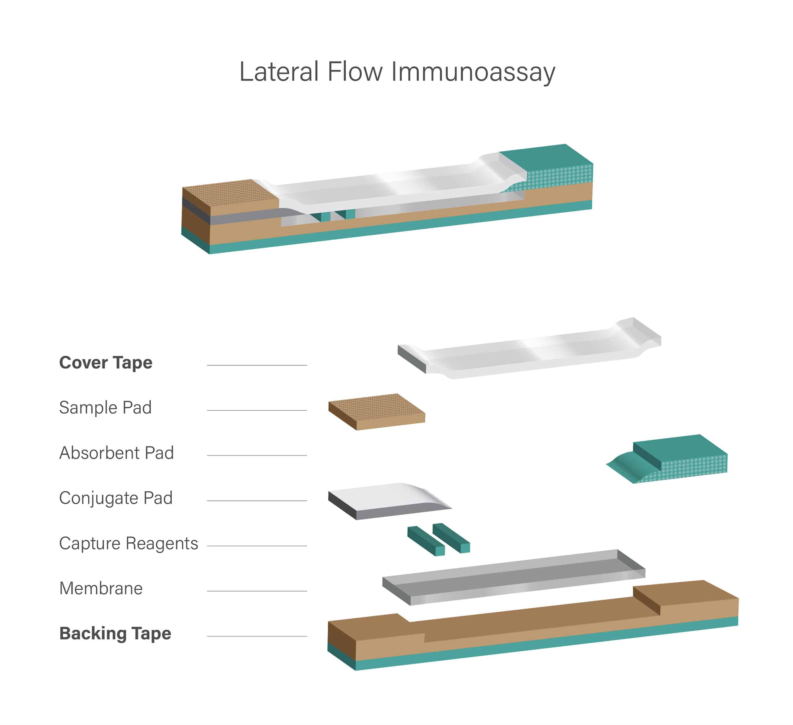 Diagram of a lateral flow immunoassay device, featuring labeled components such as cover tape, sample pad, absorbent pad, conjugate pad, capture reagents, membrane, and backing tape from Adhesives Research.